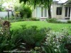 garden-design-in-st-peters-adelaide